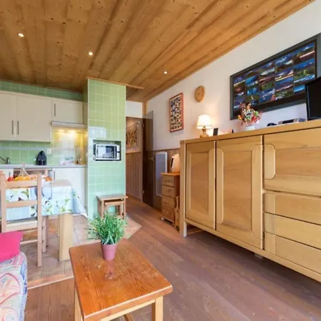 Apartment On The Ski-slope Les Deux Alpes